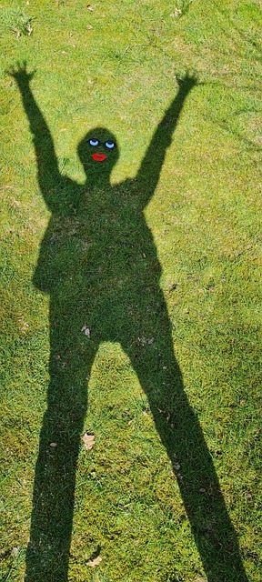 Free The Shade Figure photo and picture