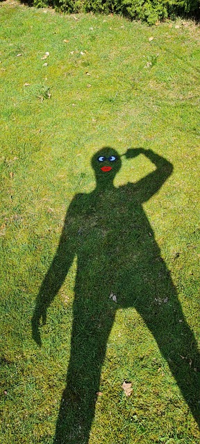 Free The Shade Figure photo and picture