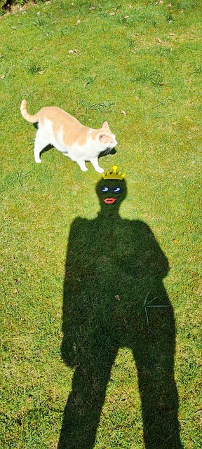 Free The Shade Figure photo and picture