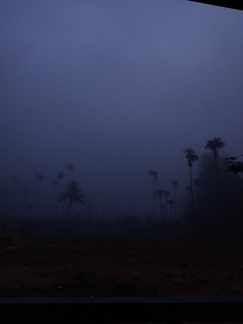 夜 霧 - Pixabayの無料写真 - Pixabay