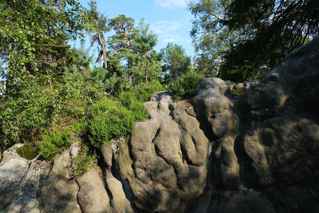 Adrspach Gebirge Felsen Kann Mich - Kostenloses Foto auf Pixabay - Pixabay