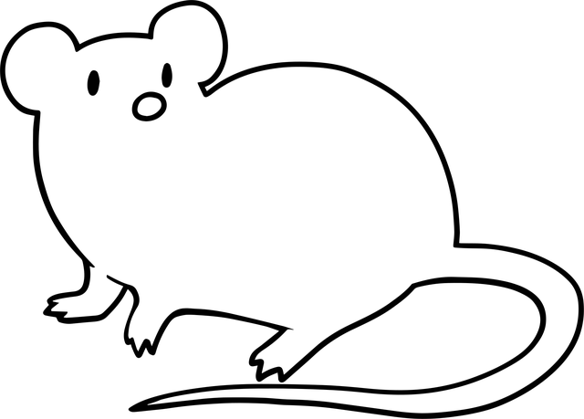 Free mouse animal line art vector