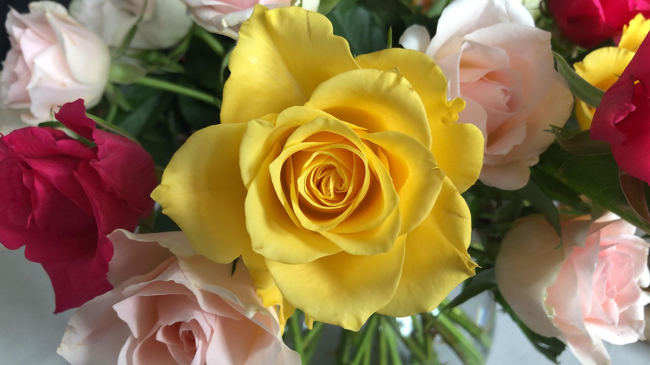 Rose Rasmi Des Roses Bouquet De Fleur - Photo gratuite sur Pixabay - Pixabay