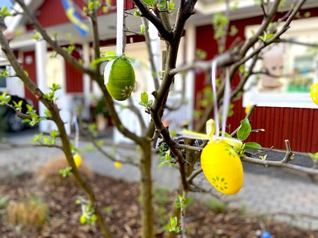 Free Easter Egg photo and picture