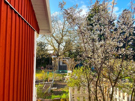 Free Spring Garden photo and picture