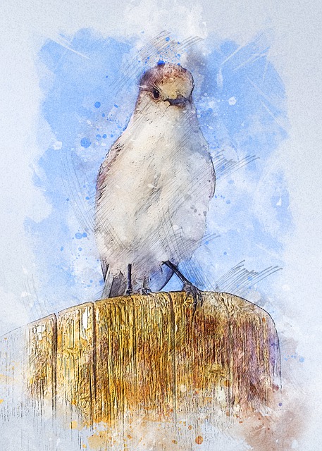 Free bird animal nature illustration