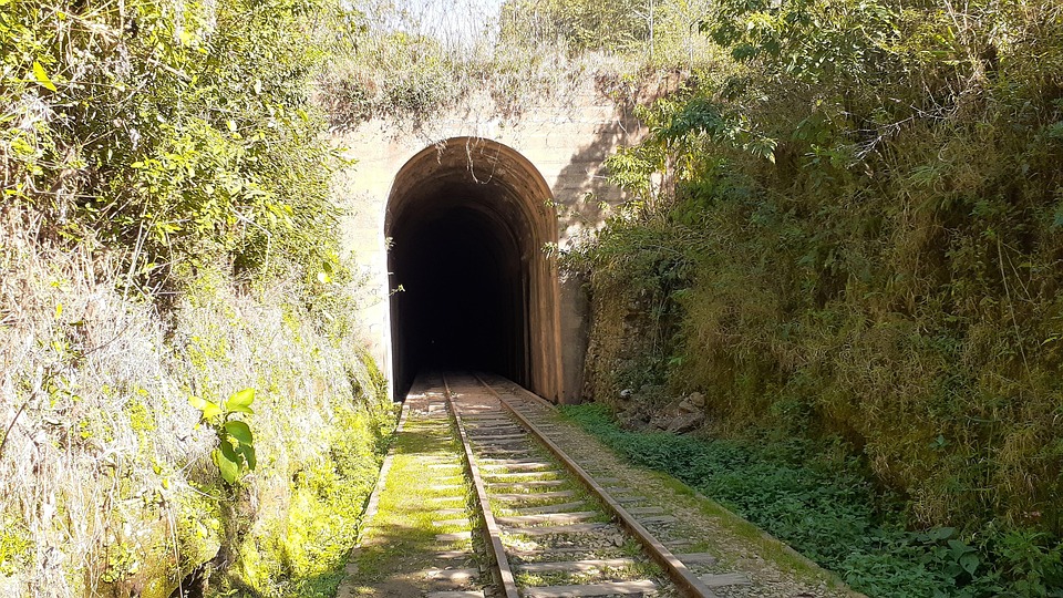 Tunnel For t Arbres La Photo Gratuite Sur Pixabay Pixabay Tunnel For t Arbres La Photo Gratuite Sur Pixabay Pixabay