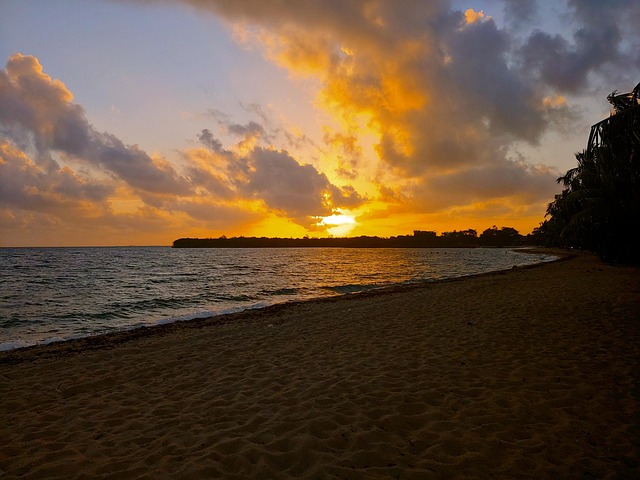Free Beach Sunrise photo and picture