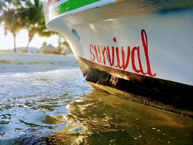 Free Boat Beach photo and picture