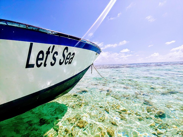 Free Island Boat photo and picture