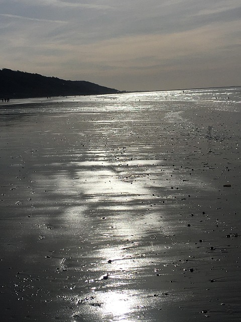 Free Sea Beach photo and picture