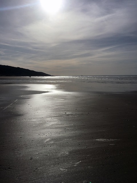 Free Sea Beach photo and picture