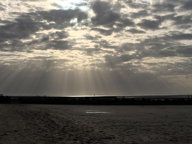 Free Sea Sand photo and picture