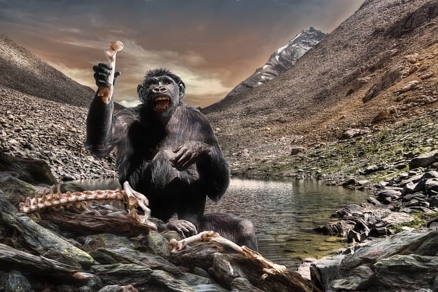 Free gorilla monkey hominid illustration
