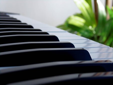 Free Keyboard Learn photo and picture