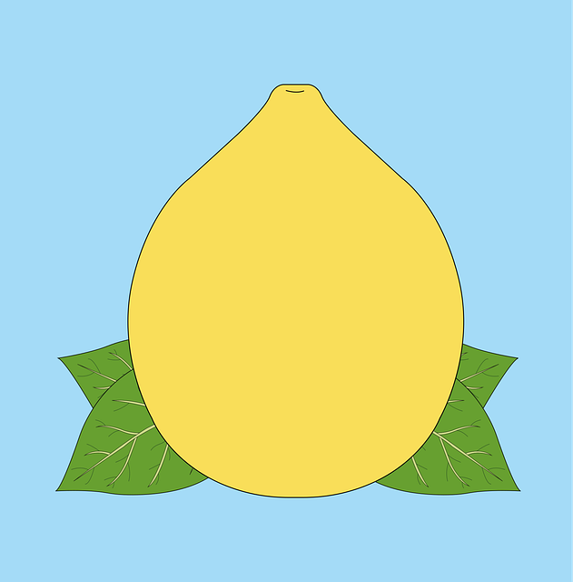 Free lemon fruit citric illustration