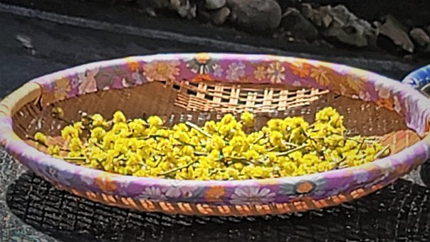 Floare De Ghimbir, Coș Cu Flori, Galben