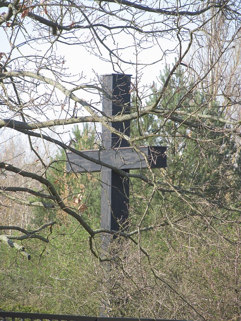 Free Cross Way Of The Cross photo and picture