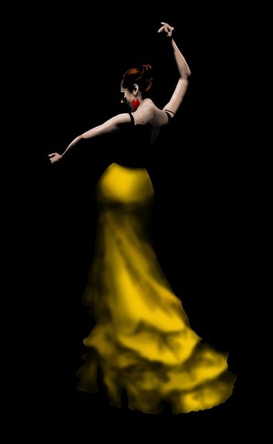 Free flamenco dancer flamenco dancer illustration
