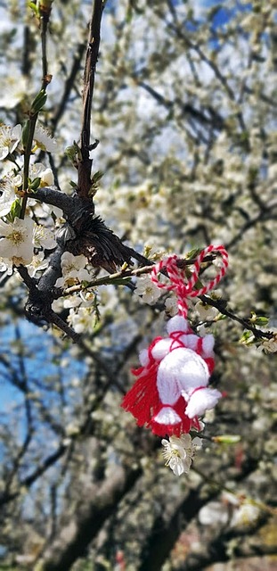 Martenitsa, Primavera, Pétalo