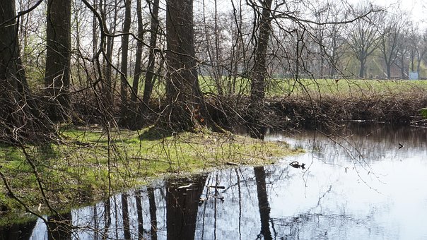 Free Water Mirroring photo and picture