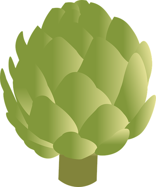 Free artichoke vegetable food vector