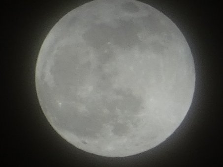 Free Full Moon Night photo and picture