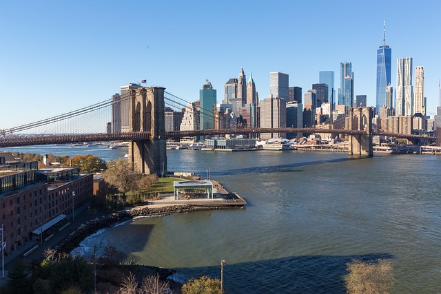 Free New York Bridge photo and picture