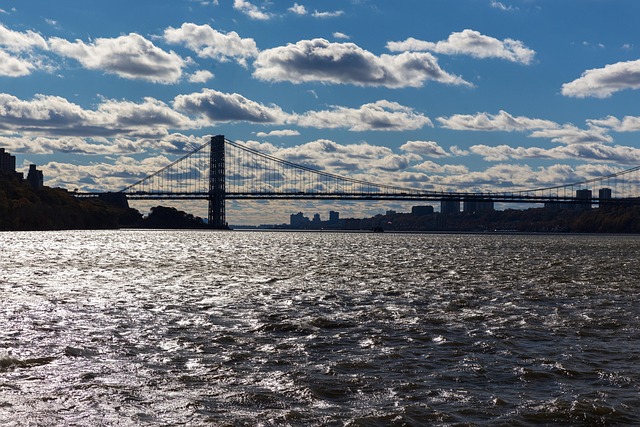 Free New York Bridge photo and picture
