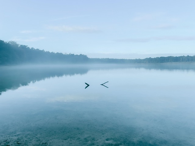 Free Quiet Water photo and picture