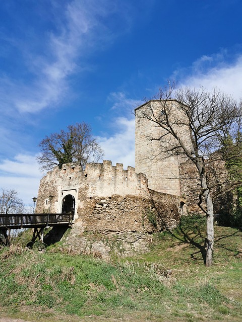 Free Castle Ruins photo and picture