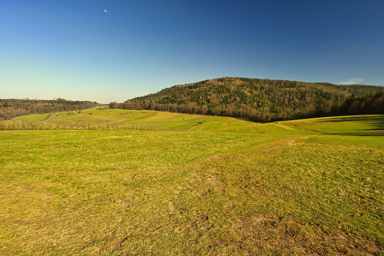Landscape Black Forest Nature Free Photo On Pixabay Pixabay landscape-black-forest-nature-free-photo-on-pixabay-pixabay