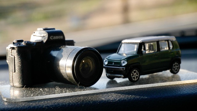 Free Miniature Dust photo and picture