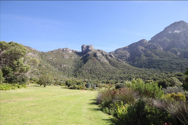 Free Botanical Garden Kirstenbosch photo and picture