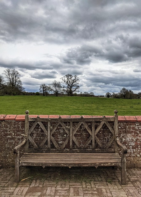 Bank, Wolken, Baum, Baddesley Clinton