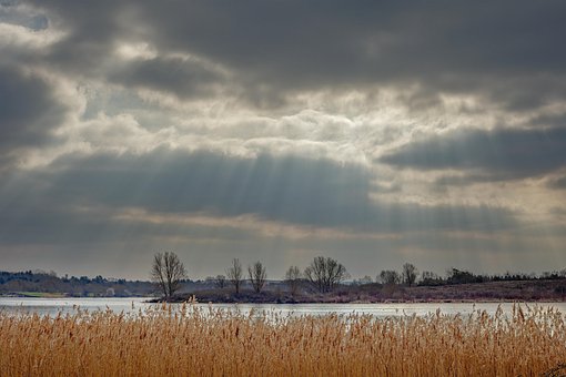 Auteursrechten, Jackie Matthews, Natuur