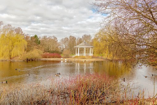 Auteursrechten, Jackie Matthews