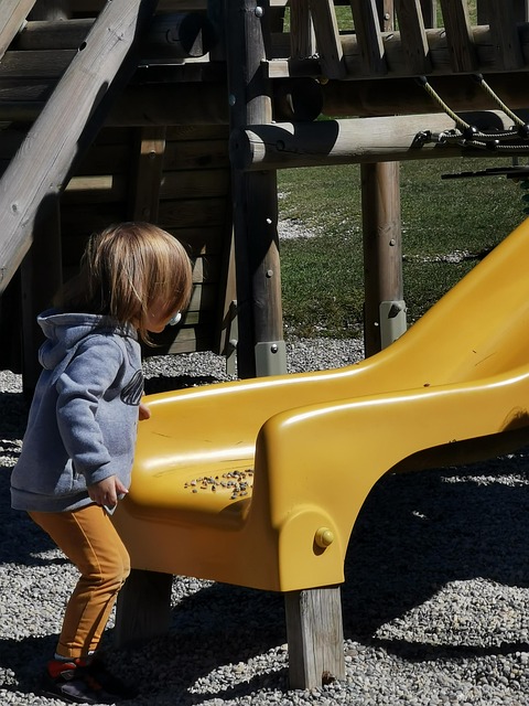 Free Toboggan Park photo and picture