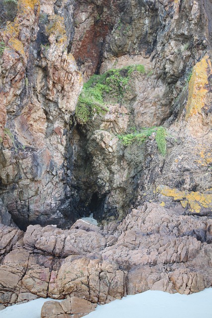 Free Dappa Betty'S Bay photo and picture