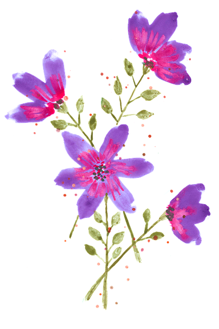 Free watercolor purple flowers anemone vector