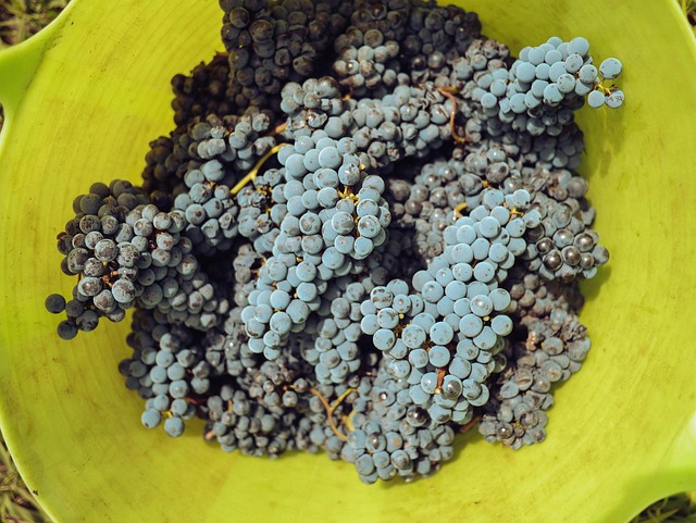 Vinho, Copos De Vinho, Vino, Feliz