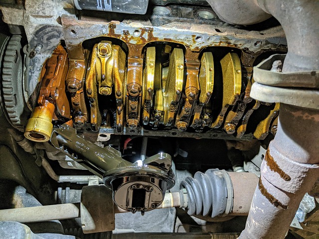 Free Car Engine photo and picture