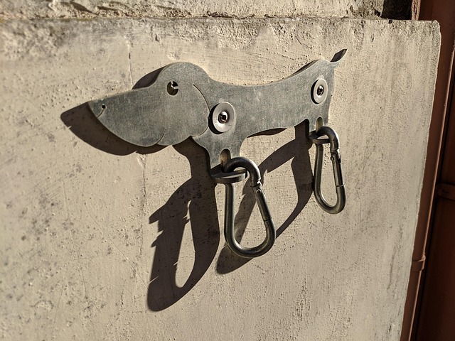 Free Pet Hook photo and picture