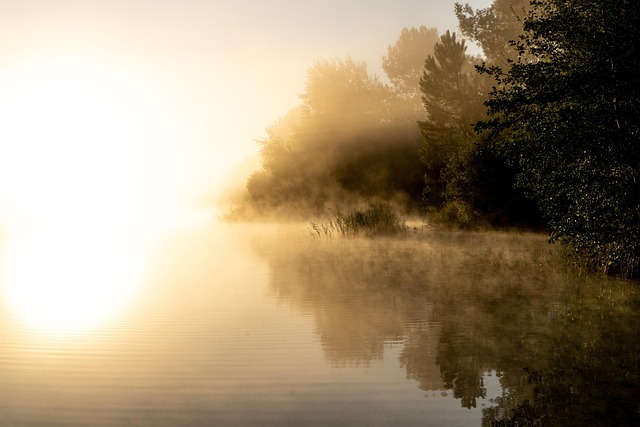 Zonsopkomst, Mist, Meer, Zonlicht