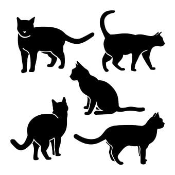 Free Cat Silhouette illustration and picture
