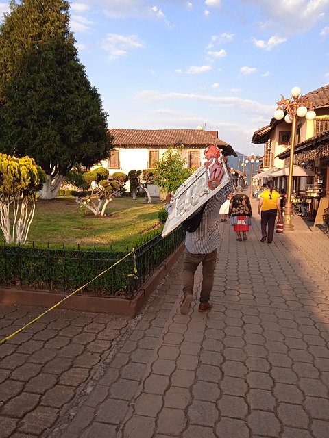 Pessoa Carregando, Emprego, Tianguis
