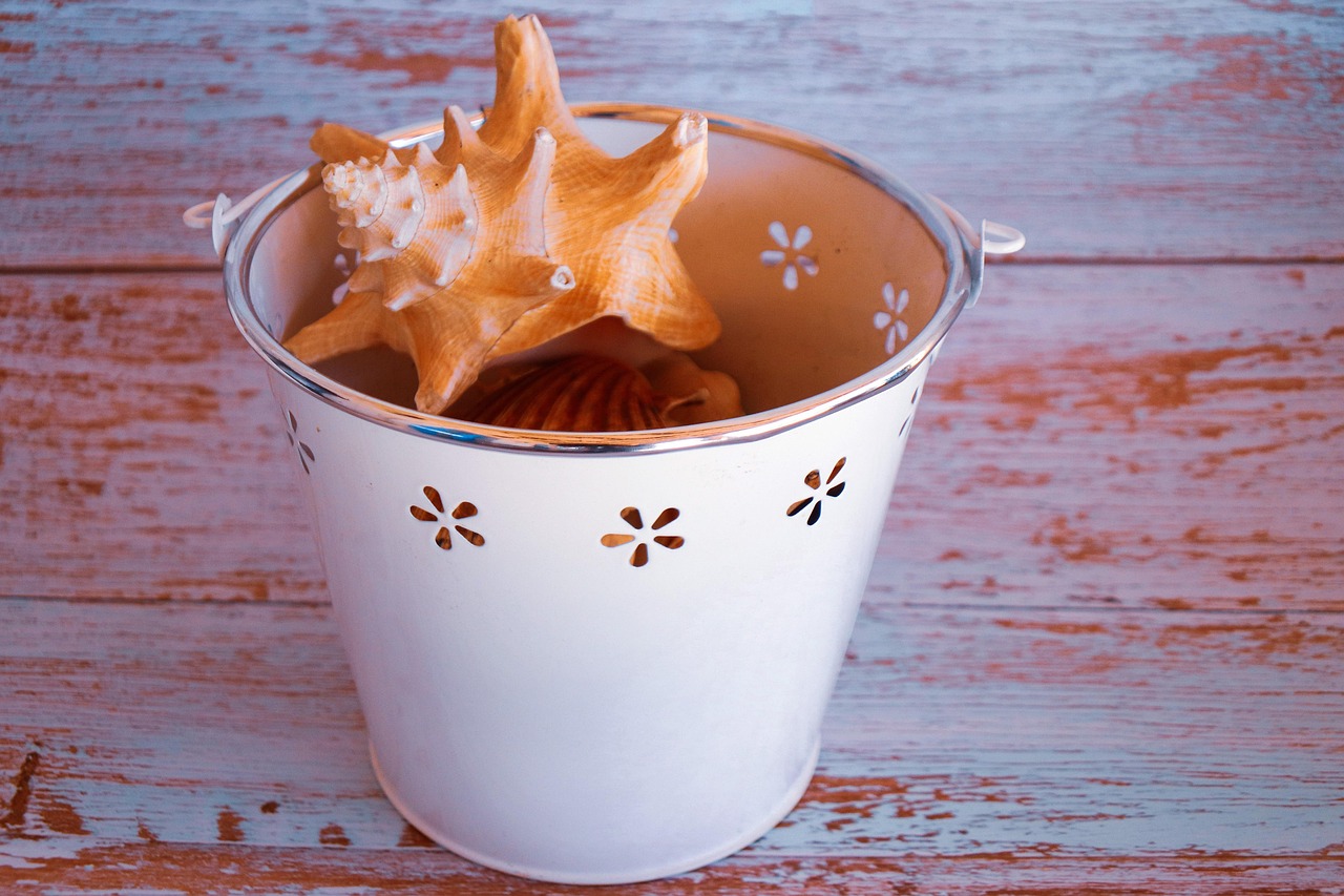 Seashell White Bucket Beach Decor - Free photo on Pixabay