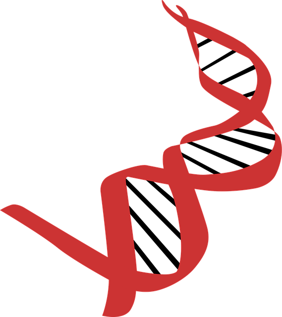 Free dna biology icon vector