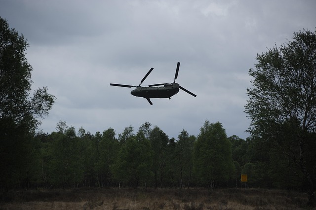 Free Helicopter Soldiers photo and picture
