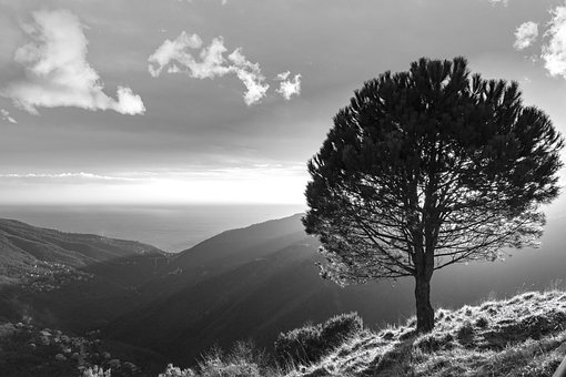 Free Spring Nature photo and picture